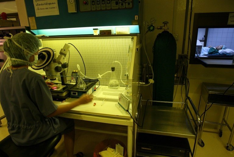 <p>Un experto tailandés lleva adelante una fertilización in vitro en el Instituto Jetanin de Bangkok el 4 de Agosto de 2006</p>