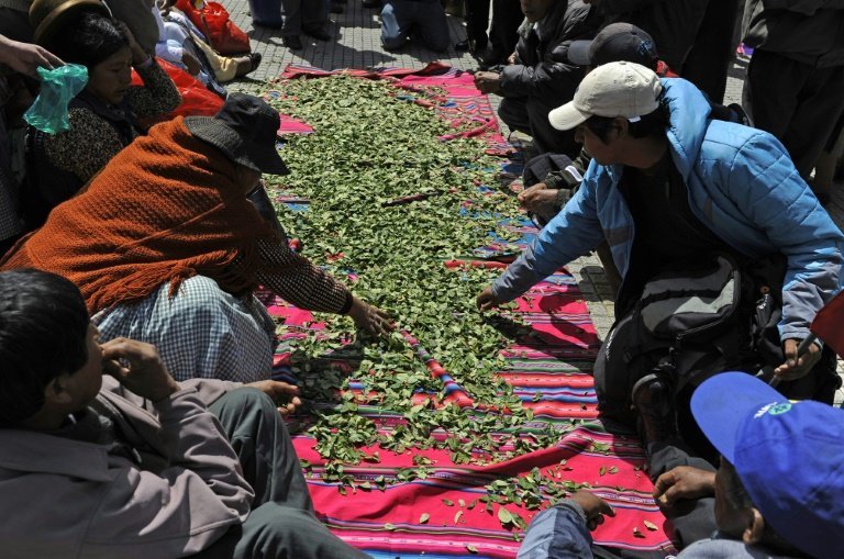 <p>Cultivadores de coca venden hojas de la planta durante la celebración del Día Nacional de Acullico el 12 de marzo de 2015 en La Paz</p>