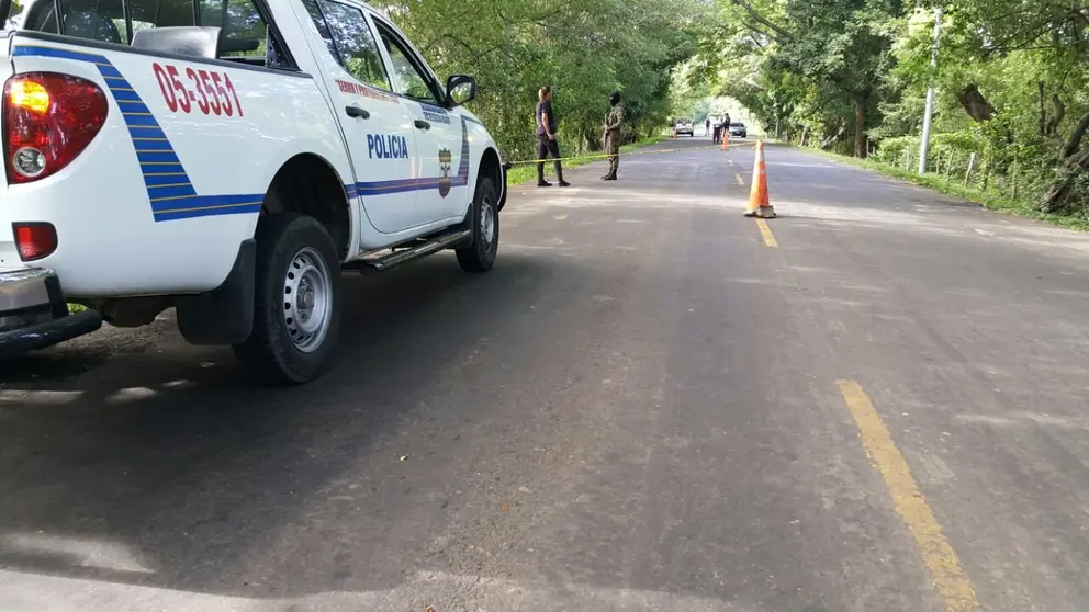 homicidio en carretera