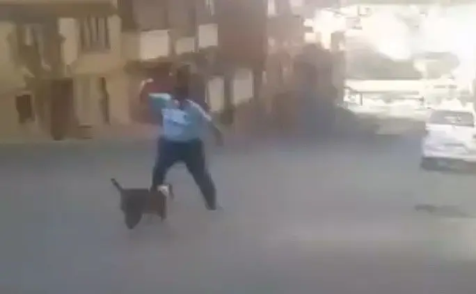 perro ataca
