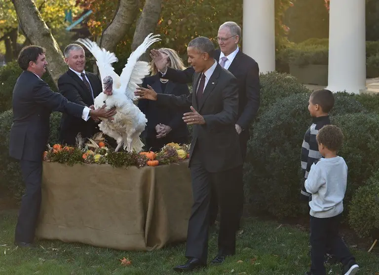 Obama salva pavo