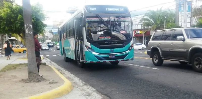 Autobuses