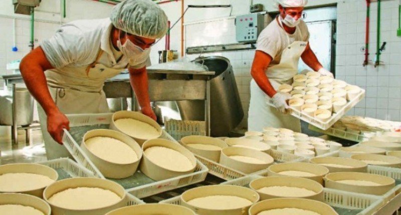Producción de queso