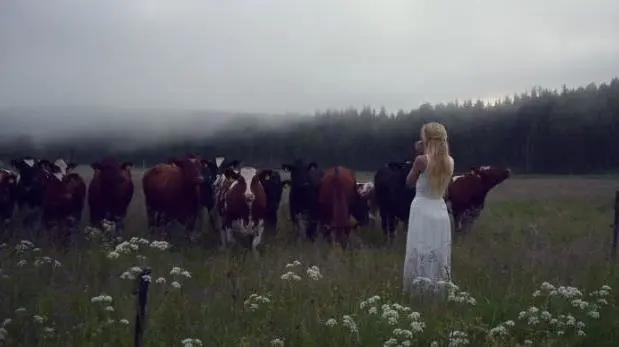 Vacas