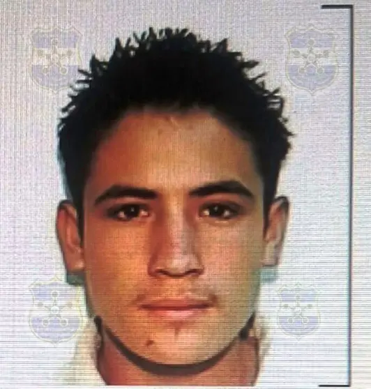 agente DAN