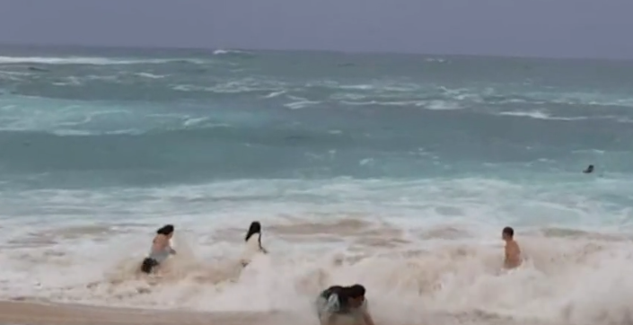 Niño mar