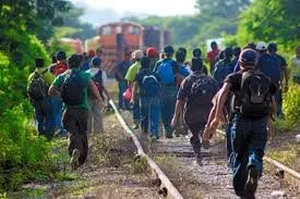migración