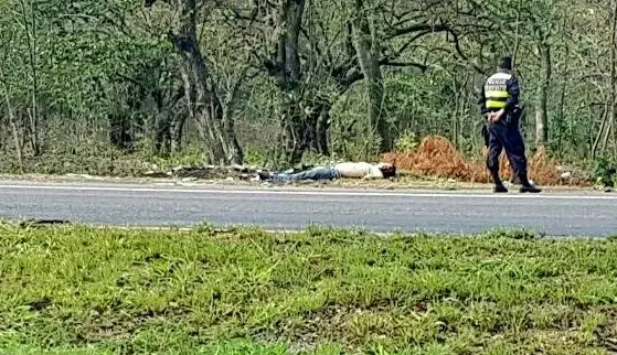 Muerto en carretera a Santa Ana