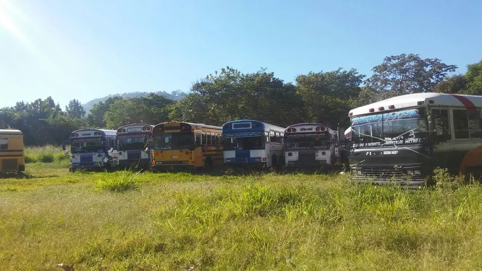 buses de la ruta 6