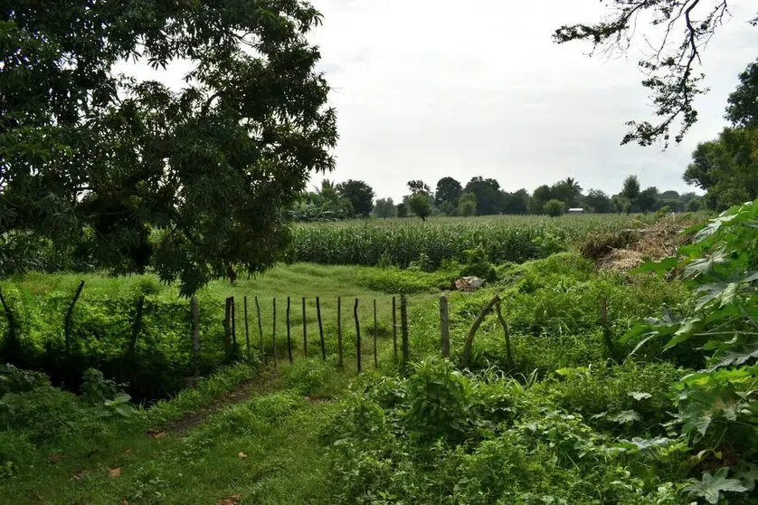 Terrenos de Francisco Flores