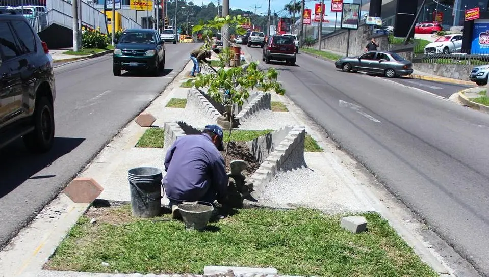 arriates en Santa Elena