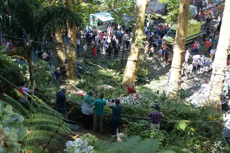 Árbol cae y mata a 13 en Madeira, Portugal