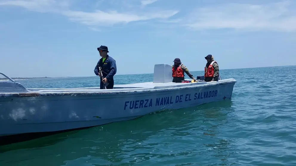 Fuerza Naval