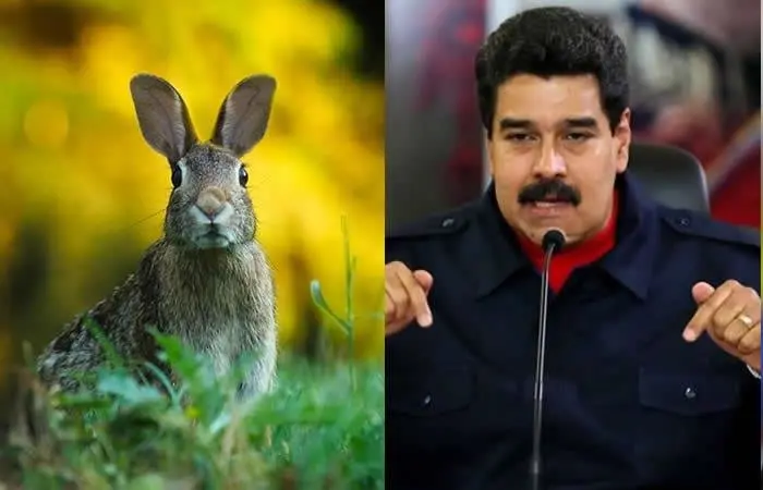 Maduro