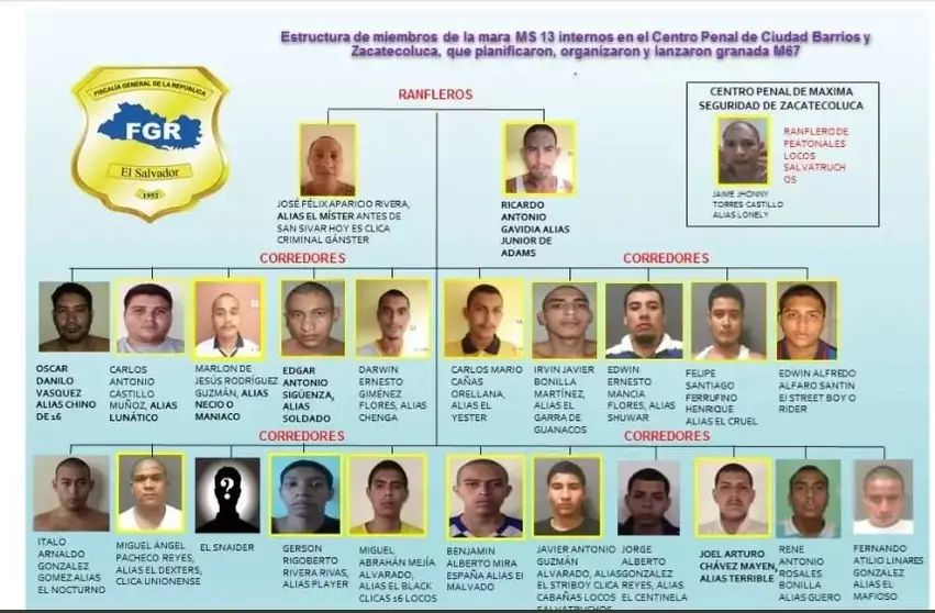 Detenidos