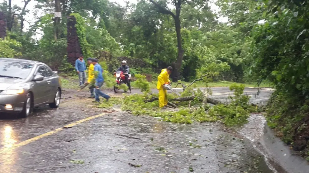 Lluvias por Selma