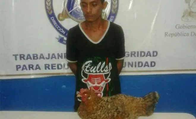 Roba Gallinas