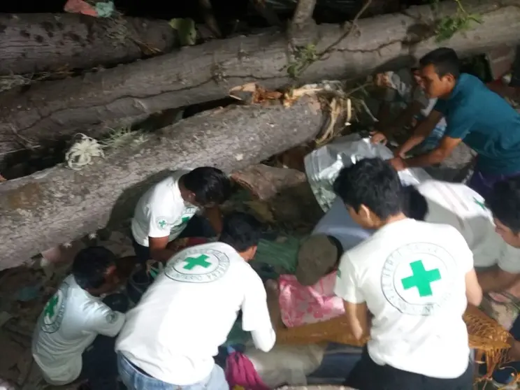 Árbol de Ceiba cae en vivienda