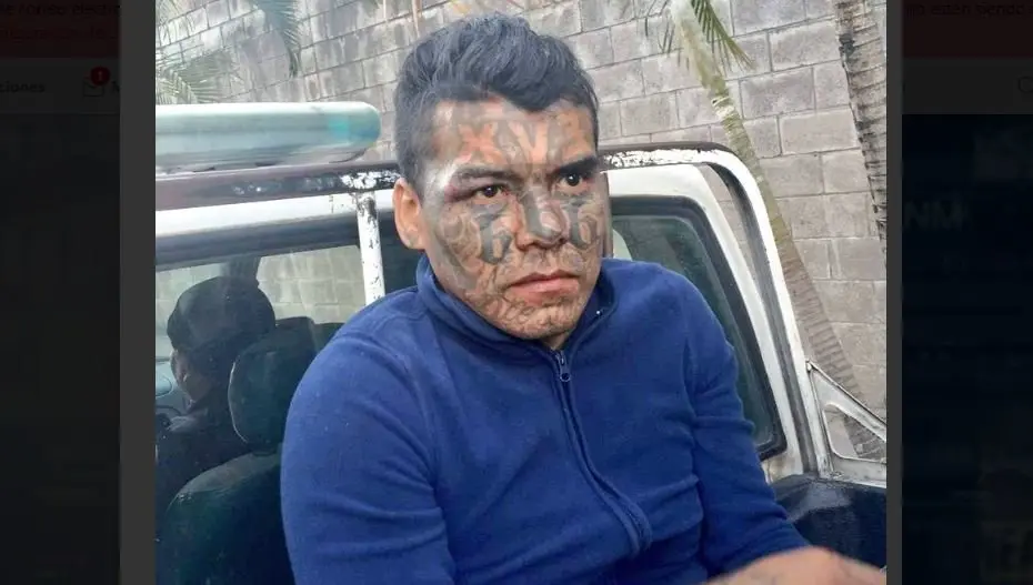 Campanera violador