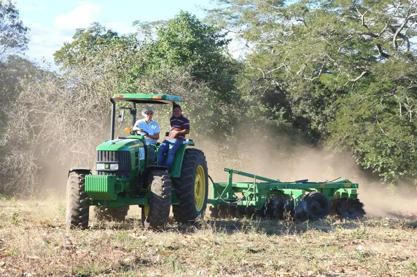 Pereira agricultura