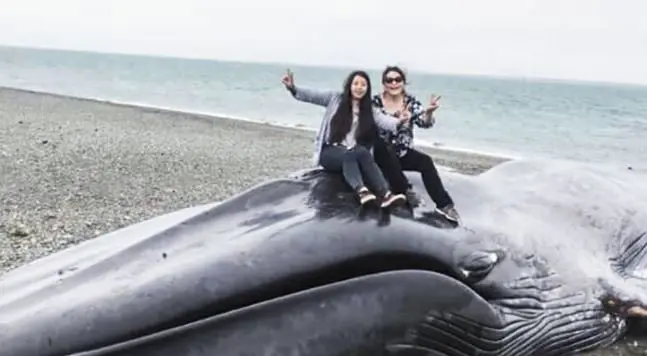 Selfie en ballena