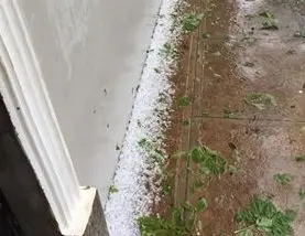 Granizo