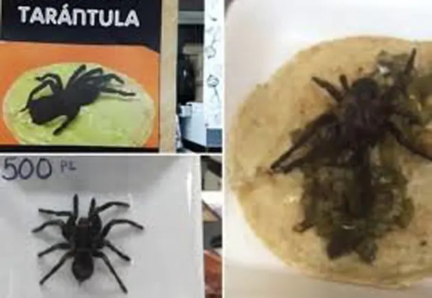 tarantulas