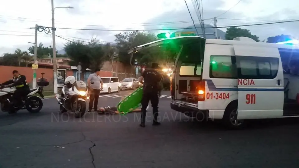 accidente perros 1