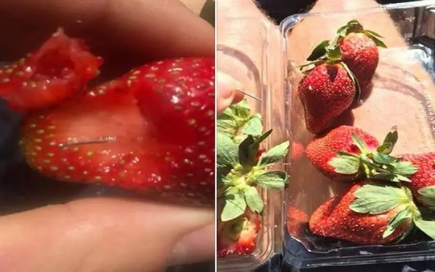 fresas con alfilares