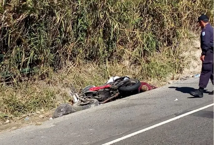 Asesinados en la Panamericana