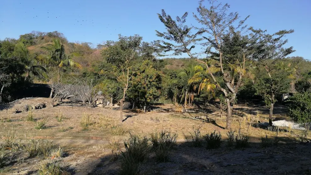 escena de matriminio en ilobasco, cabañas