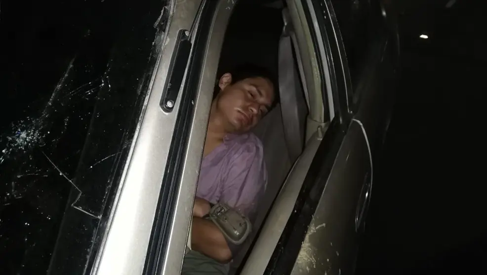 Bolo dormido
