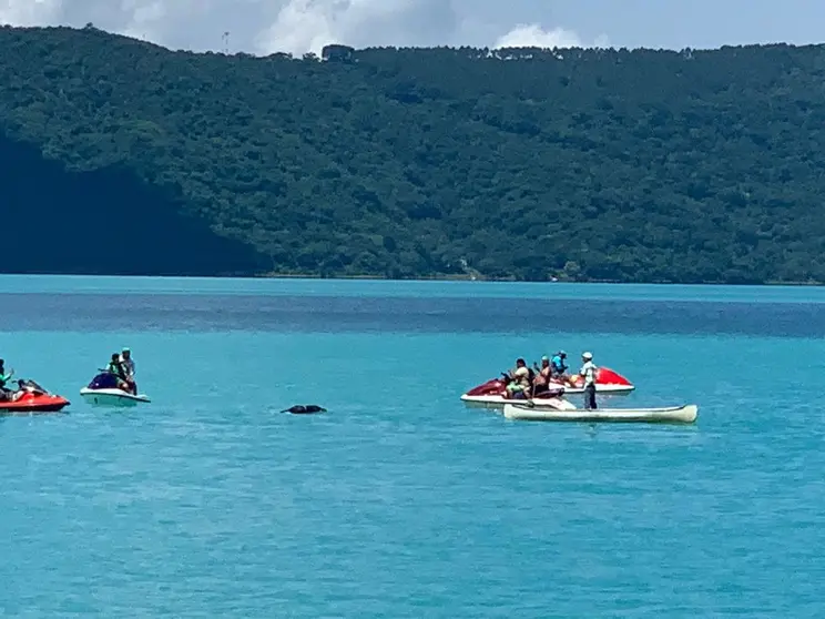 Lago de Coatepeque