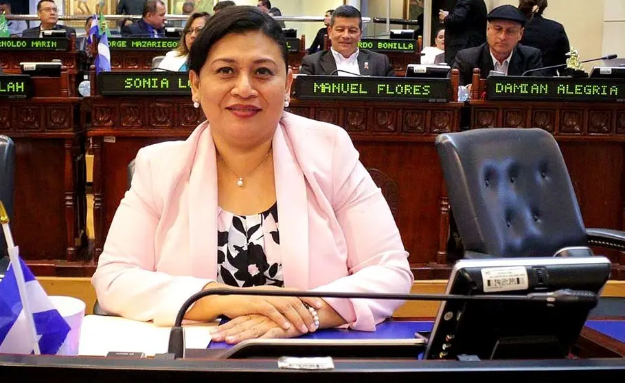 Diputada Elizabeth Gómez