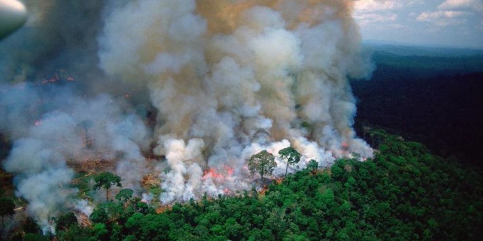 El Amazonas en llamas