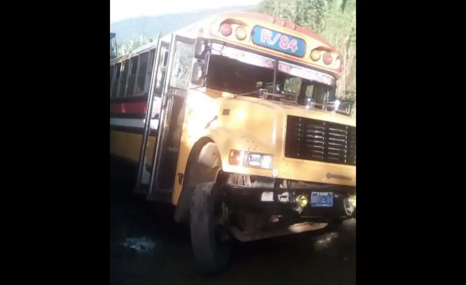 Bus de la 84