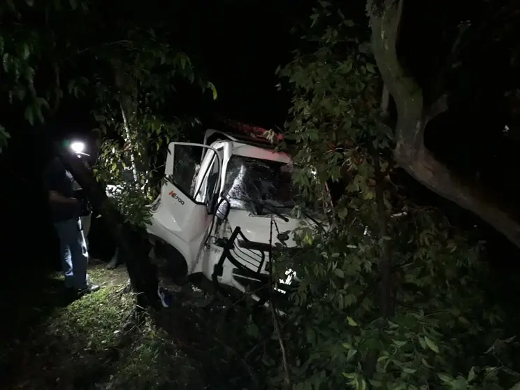Ebrio choca contra árbol