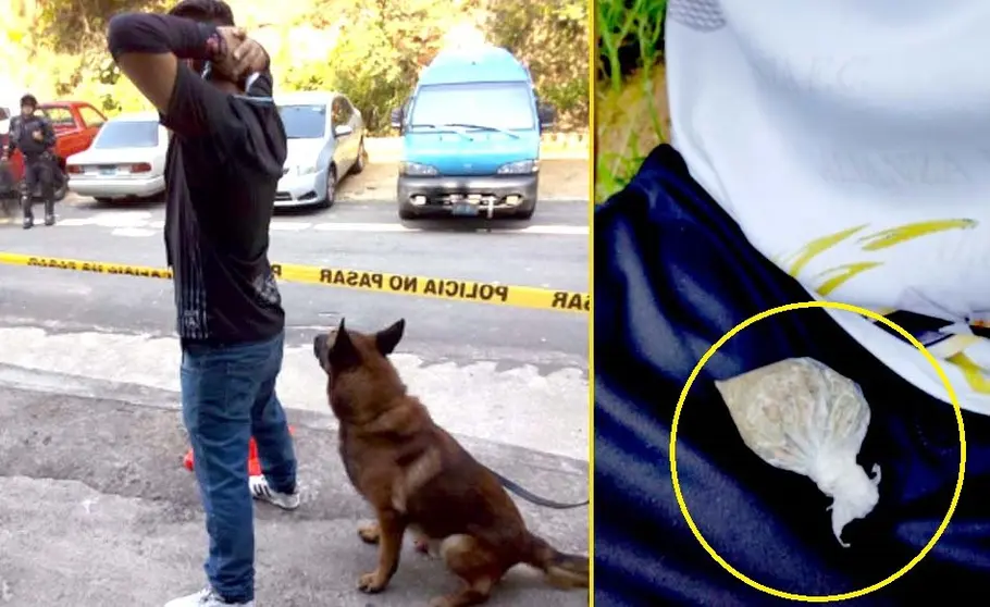 Unidad canina detecta marihuana en partido Alianza Motagua