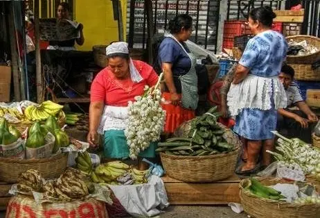 Vendedoras de Mercado