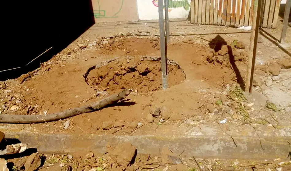 Talan árbol para instalar una champa como cafetín 2