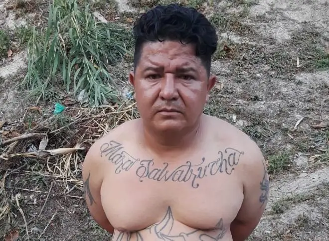 Violador de menor de 15 años