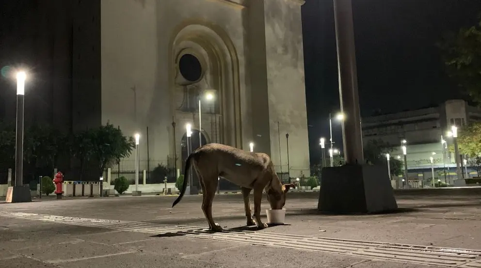 Catedral de San Salvador