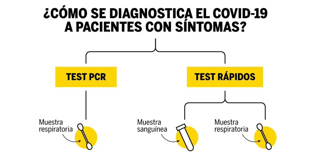 ¿Cómo se diagnostica el COVID-19 a pacientes con síntomas?