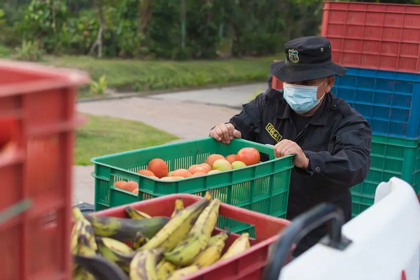 donativo alimentos verduras