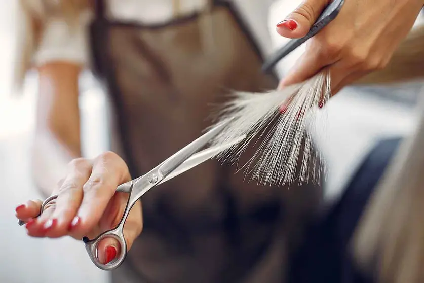 Hairdresser cut hair her client. Woman in a hair salon