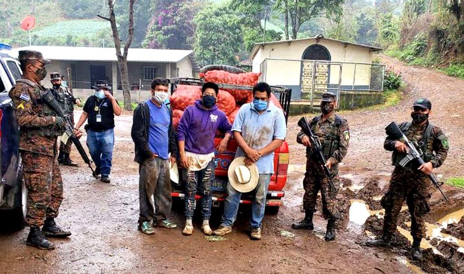 Decomisan casos de 24 papas en Chalatenango 3