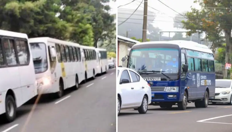 Buses del MOP y alcaldía