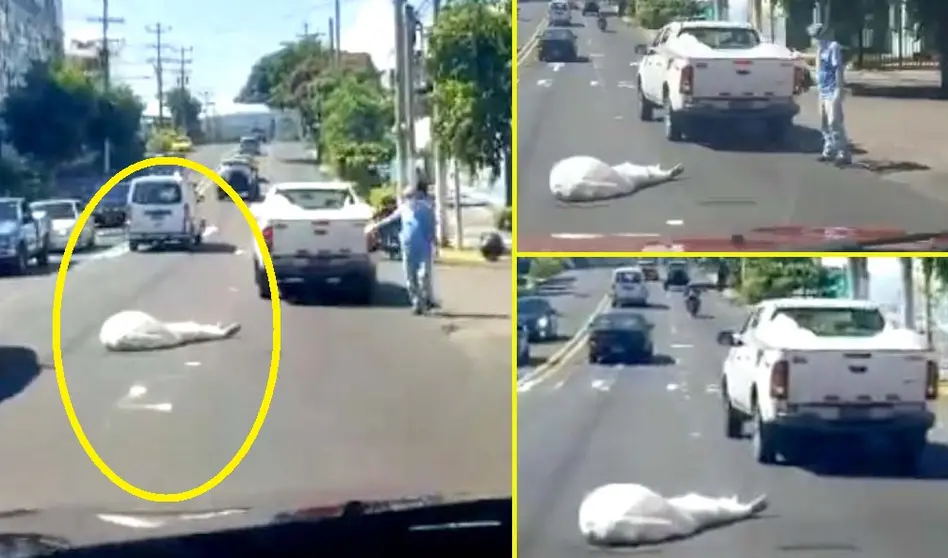 Cadáver que era transportado en pick up de Medicina Legal cae en vía pública Imagen tomada de José Figue 4