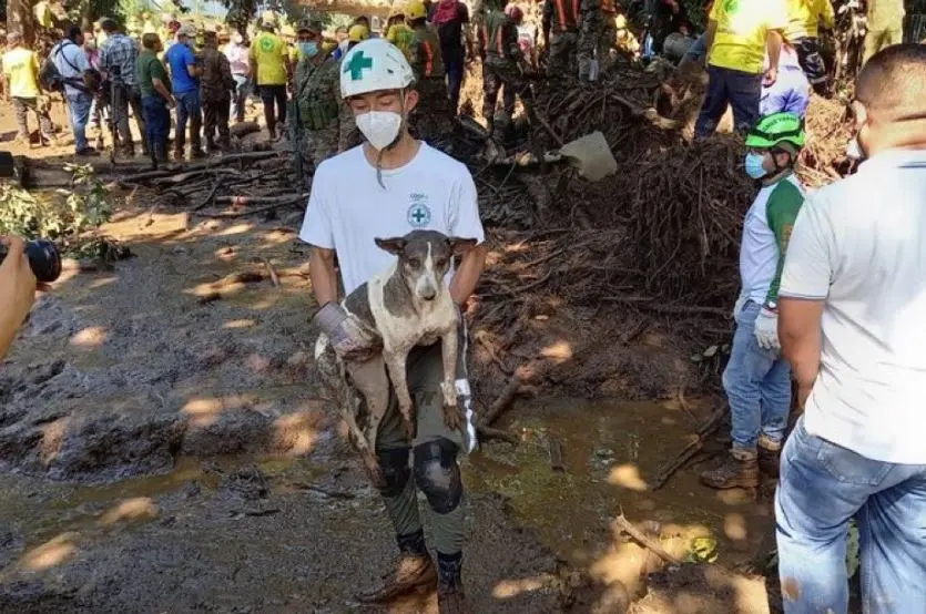 A perro lo sacan 5 veces