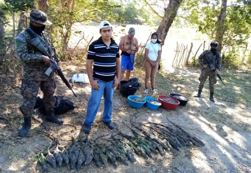 Hondureños con garrabos